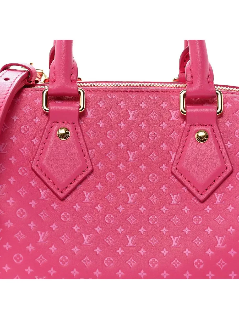 Louis Vuitton Calfskin Nanogram #295667L26B